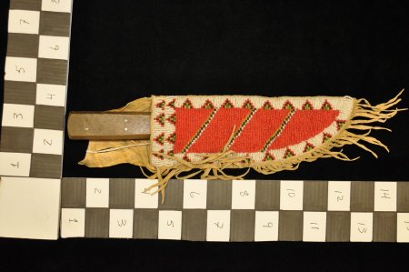 Knife, Skinning