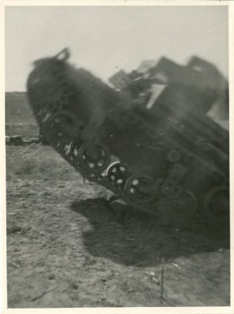 Photograph                              