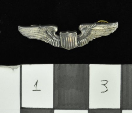 Insignia